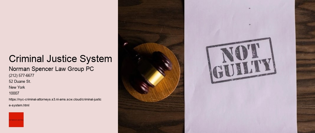 Criminal Justice System