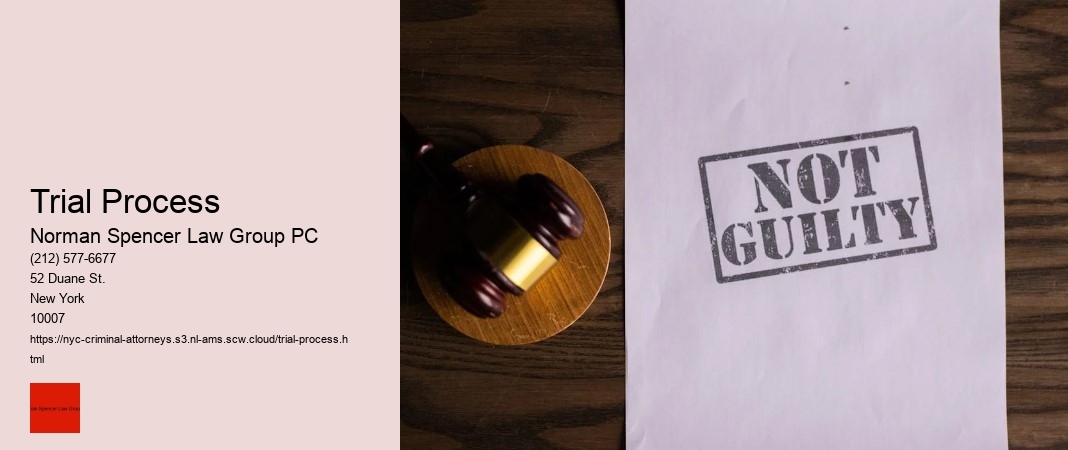 Trial Process